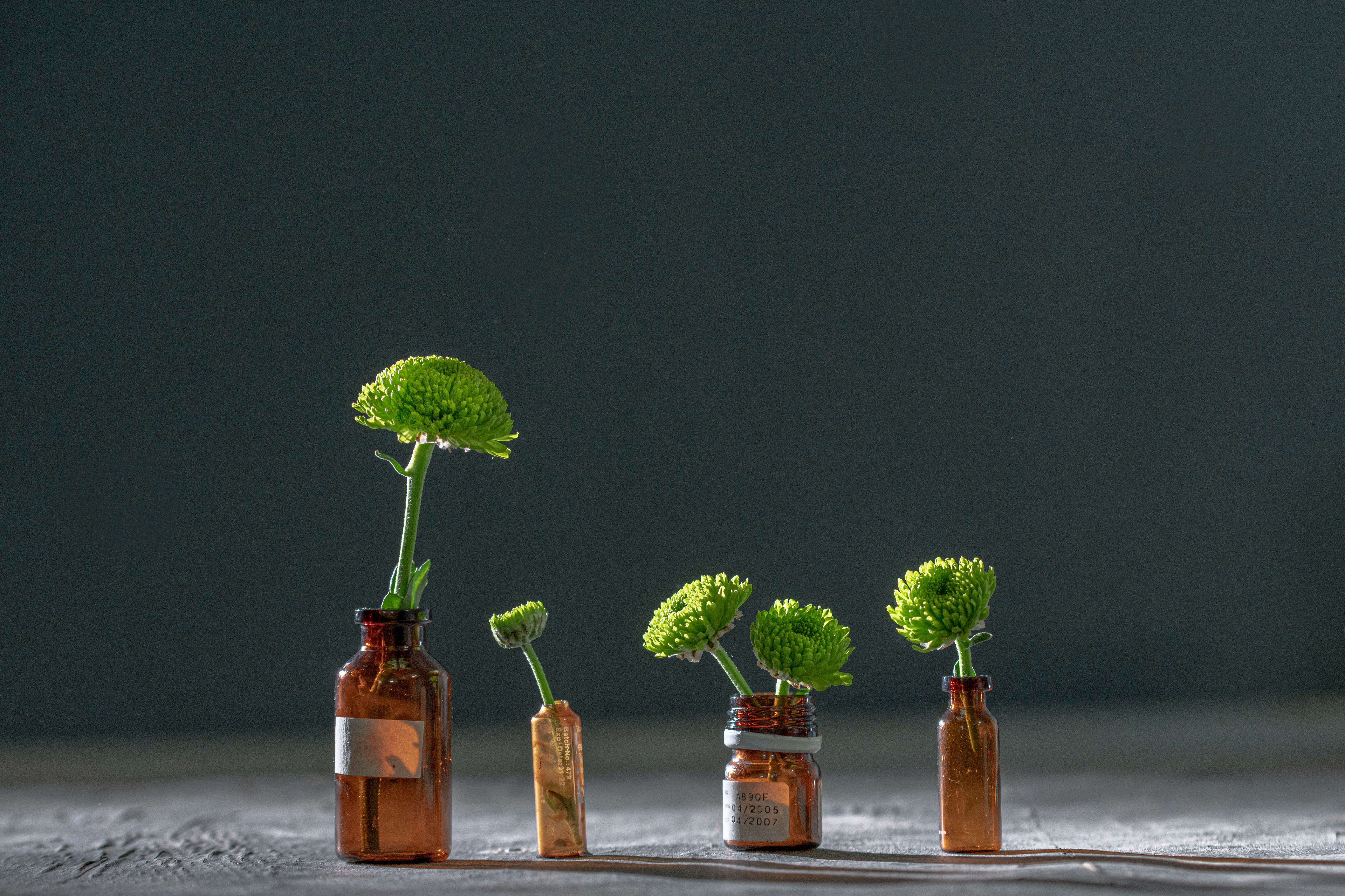 Bioactive ingredients — clinical to label claim