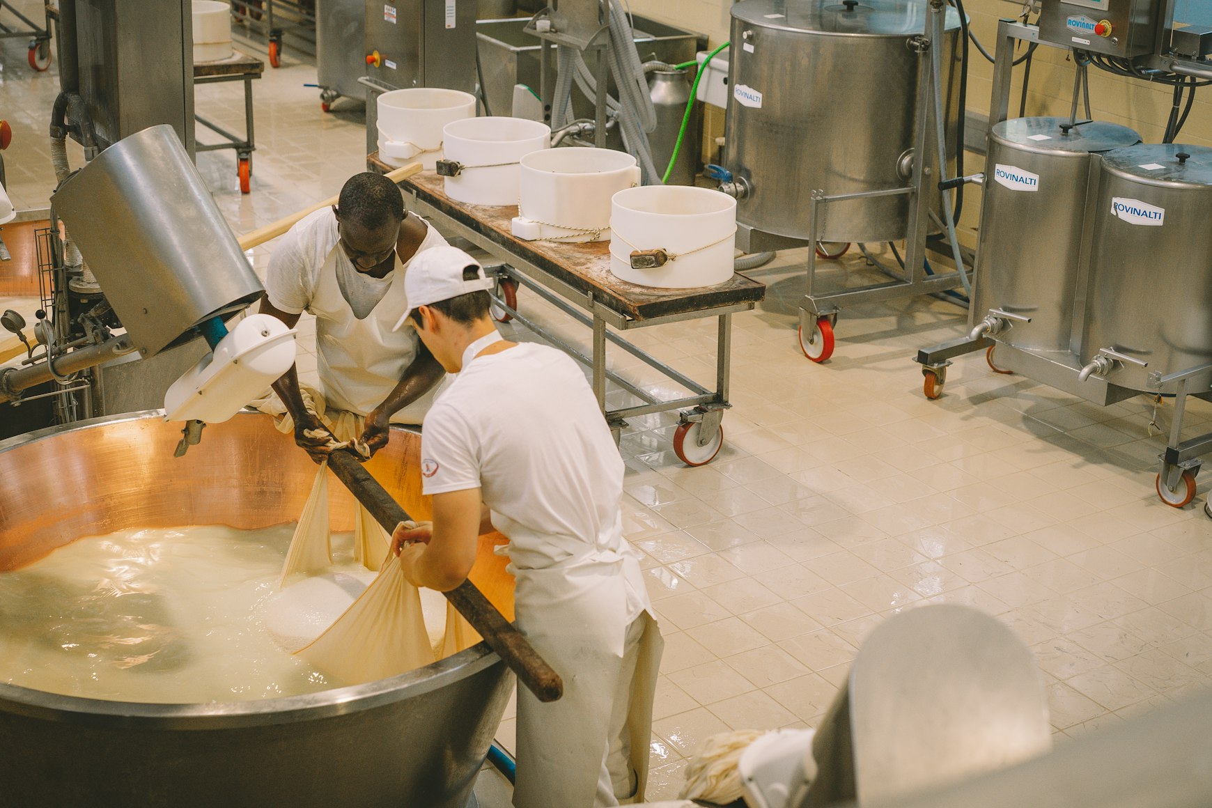 Dairy production and processing